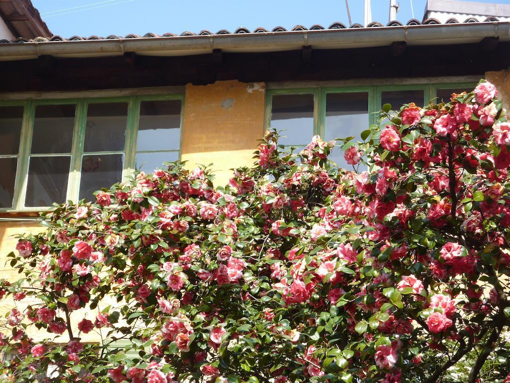 Ca Melia Bedigliora Appartement Buitenkant foto